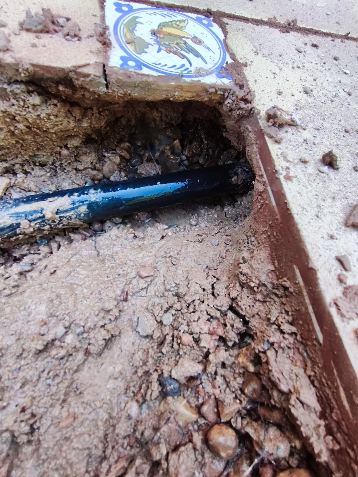 Inspección con cámara en la Región de Murcia